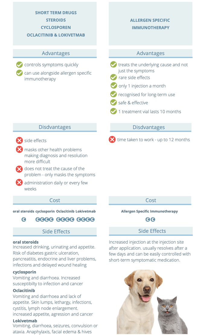 How to treat allergy Artuvet